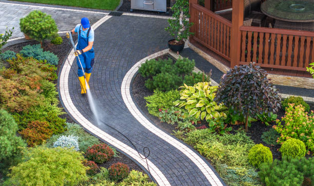 Best Best Pressure Washing Companies  in Iuka, MS